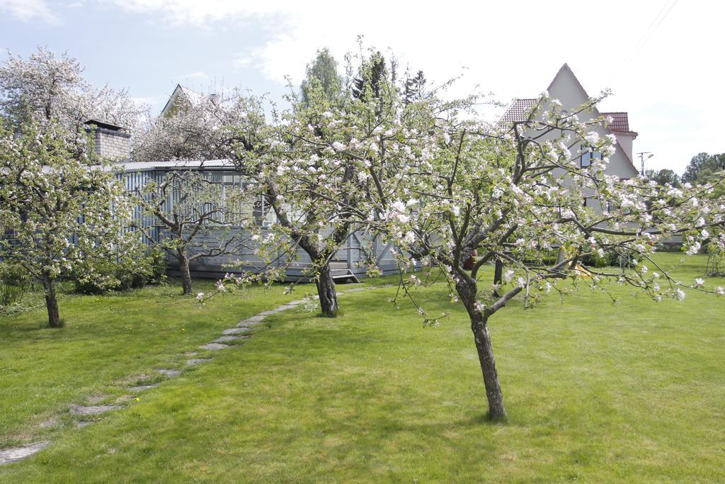 Villa Marleen Pärnu Exteriér fotografie